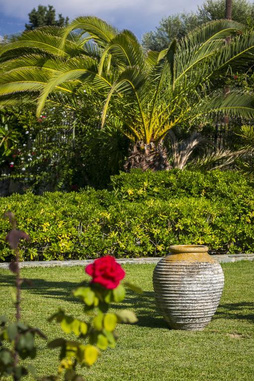 Olive Grove Studios & Apartments Σβορωνάτα Εξωτερικό φωτογραφία